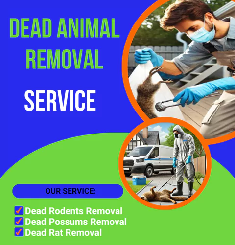Dead Animal Removal Canterbury